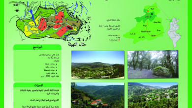 مثال التهيئة للمنطقة السياحية فج الاطلال